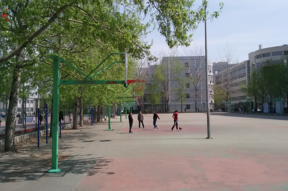 basketball